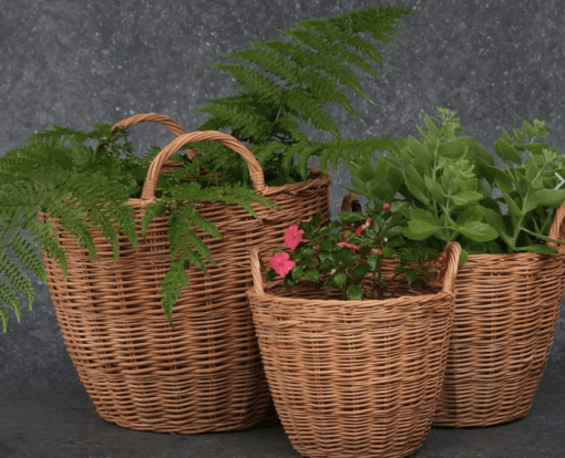 Indoor Planters Made With Wicker From The Willow Tree | Small | Sustainable And Eco Friendly | Handmade In India - Image 2
